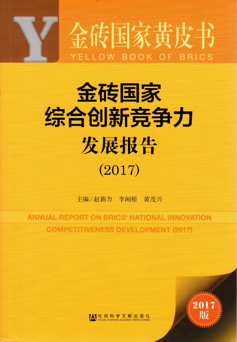 几把插逼视频污污金砖国家综合创新竞争力发展报告（2017）